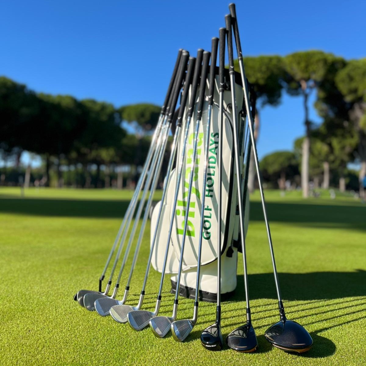https://paiement1.bilyanagolf.com/files/imaj/clubhire1.jpg